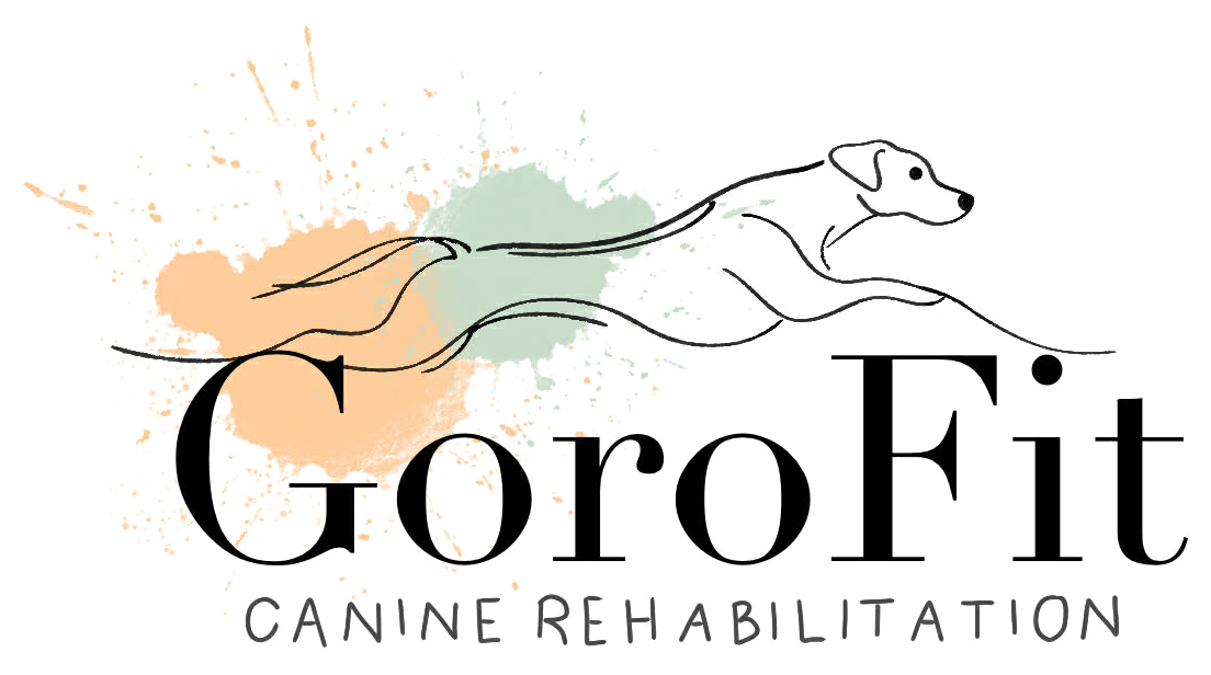 GoroFit